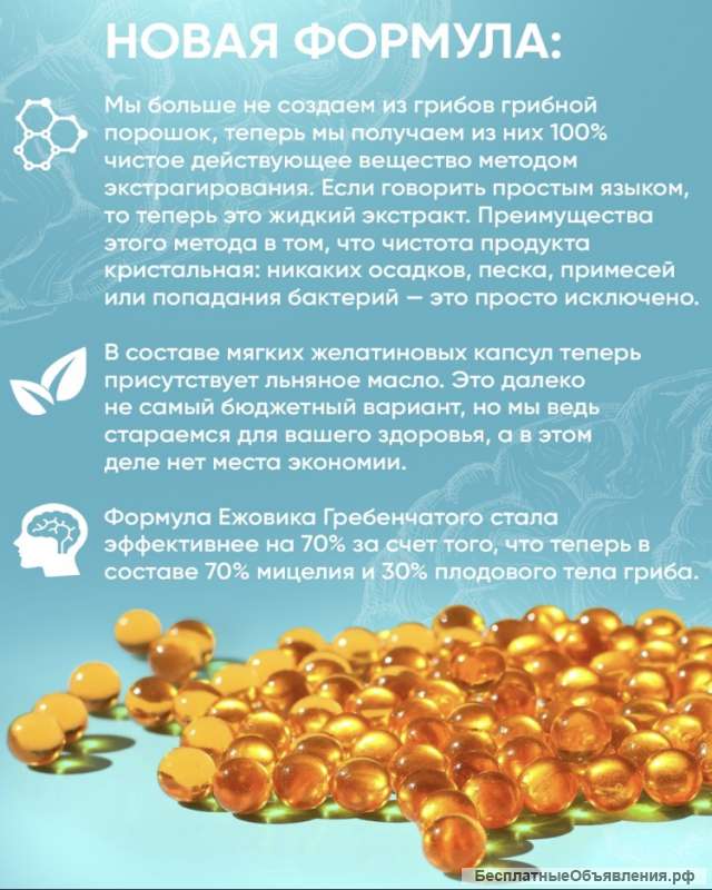 Ежовик гребенчатый