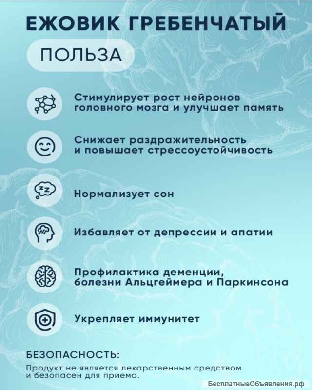 Ежовик гребенчатый