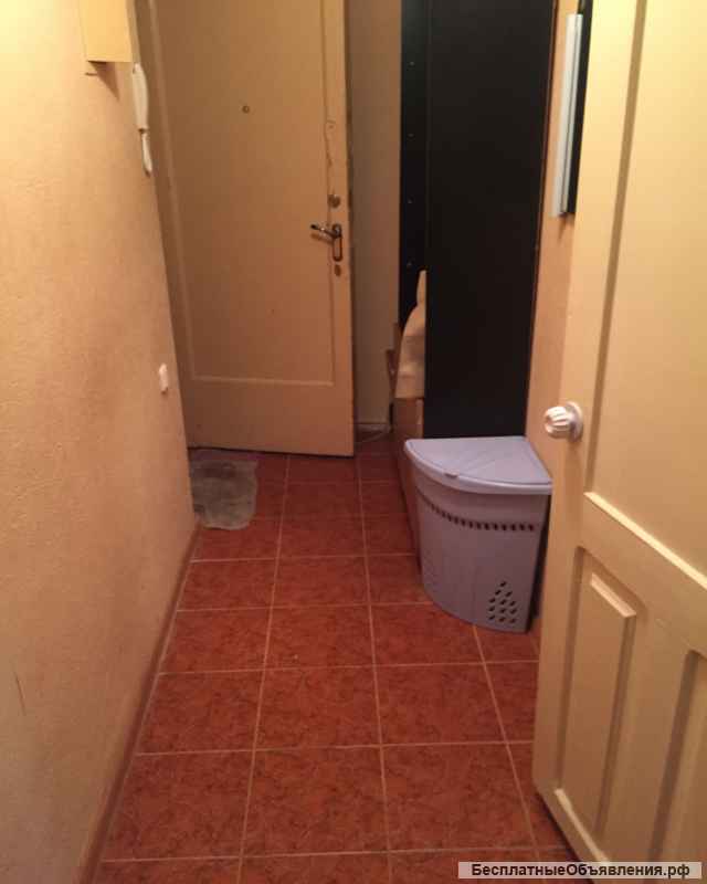 1-к, Толстого-6, Центр