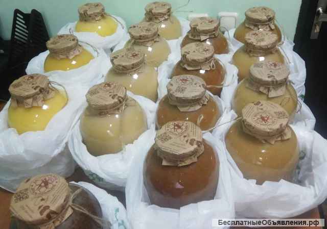 Мёд Пустырника Алтай доставка бесплатно Москва