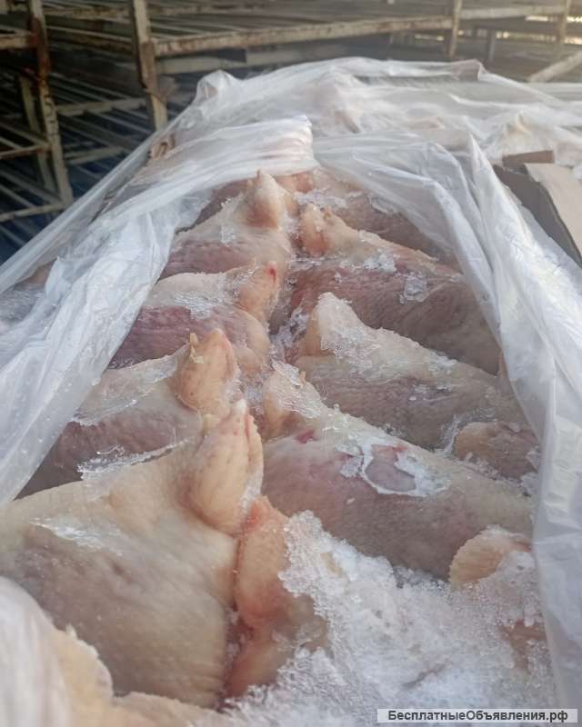 Суповая курица (несушка) 2 сорт