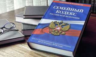 Юрист / алименты / взыскание долгов