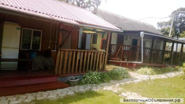 Сдаю койки посуточно для пляжного отдыха в пос. Ливадия (Находка)