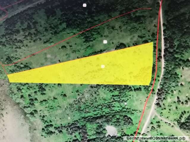 Пригород. Участок 3,1 Га. КФХ. Лес. Рядом город, инфраструктура. Шоссе. Возможно строительство.