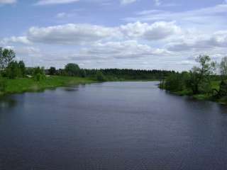 Григорово (Андрианово). Участок 19 Га рядом с деревней. Подъезд. Инфра-ра. Газ. Эл-во.