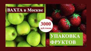 Упаковщик фруктов вахтой в Москве с питанием и проживанием