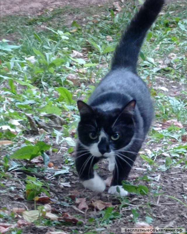 НАЙДЕН ВСЕМ Неравнодушным участникам спасибо