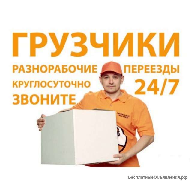 Грузчики
