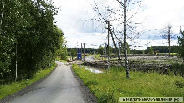 Земельный участок 16 соток ИЖС в поселке Левашово