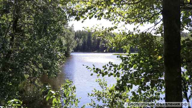 Земельный участок 16 соток ИЖС в поселке Левашово