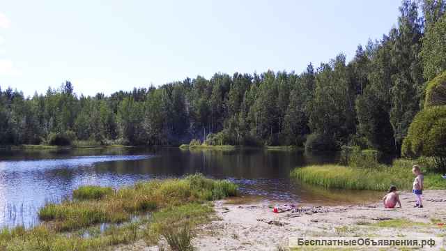 Земельный участок 16 соток ИЖС в поселке Левашово