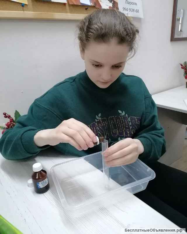 Подготовка к ОГЭ и ЕГЭ в Подольске