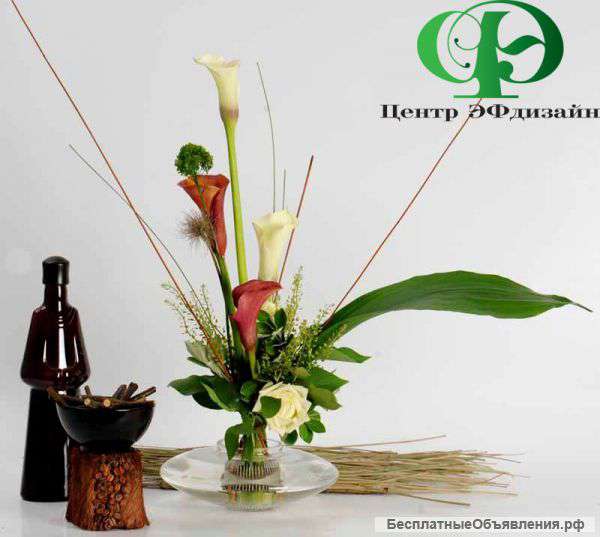 Курс Основы современной флористики