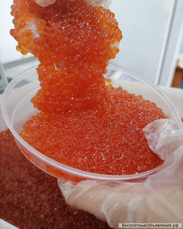 Рыба свежемороженая. Деликатесы