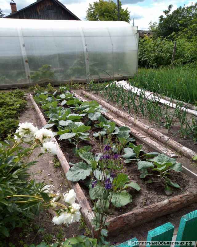 Дом в очень тихом и хорошо развивающемся поселке