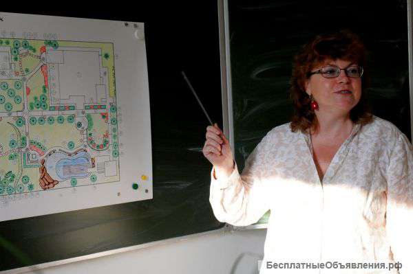 Создание декоративного сада и уход за ним