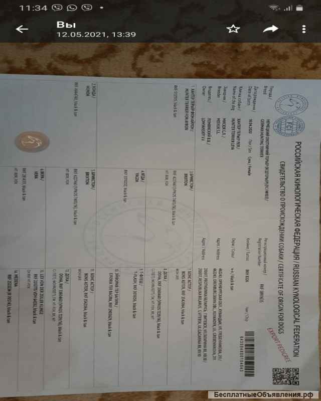 Щенки от рабочих родителей