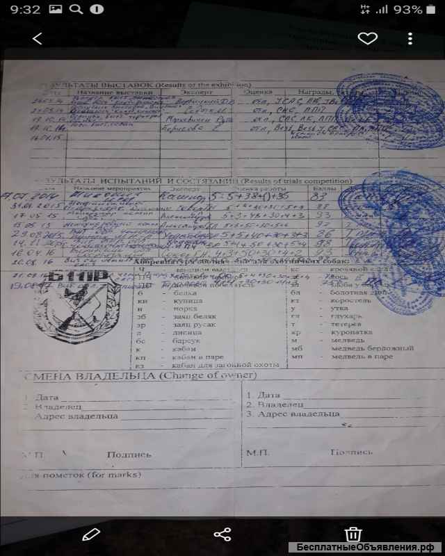 Щенки от рабочих родителей