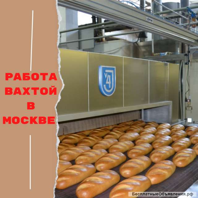 Работа с проживанием и питанием в Москве Вахта