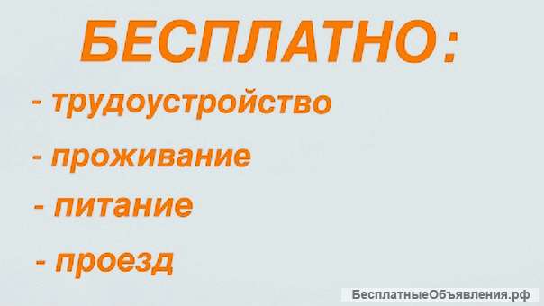 Работа вахтовым методом