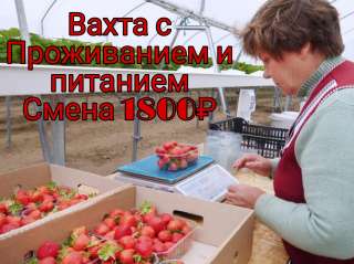 Работа вахта Москва с проживанием и питанием 15/30/60 смен