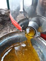 Мелитопольский натуральный мед