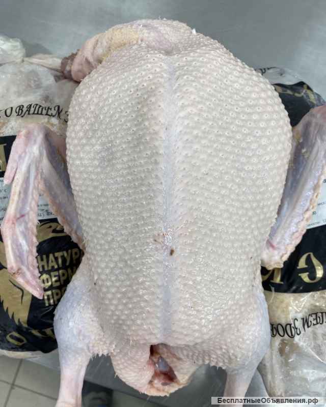 Фермерская утка Мулард оптом