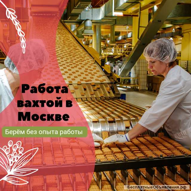 Работа упаковщиком вахта в Москве без опыта