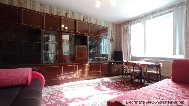Двухкомнатная квартира 55 кв.м на проспекте Испытателей