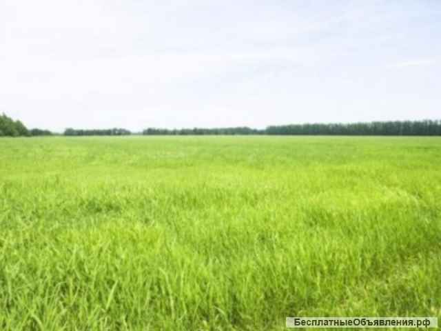 Участок, 72 сот., п. Энем