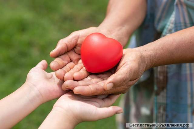 Требуется помощь