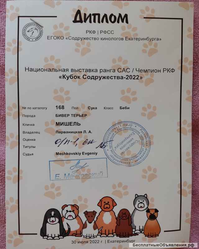 Щенка бивера