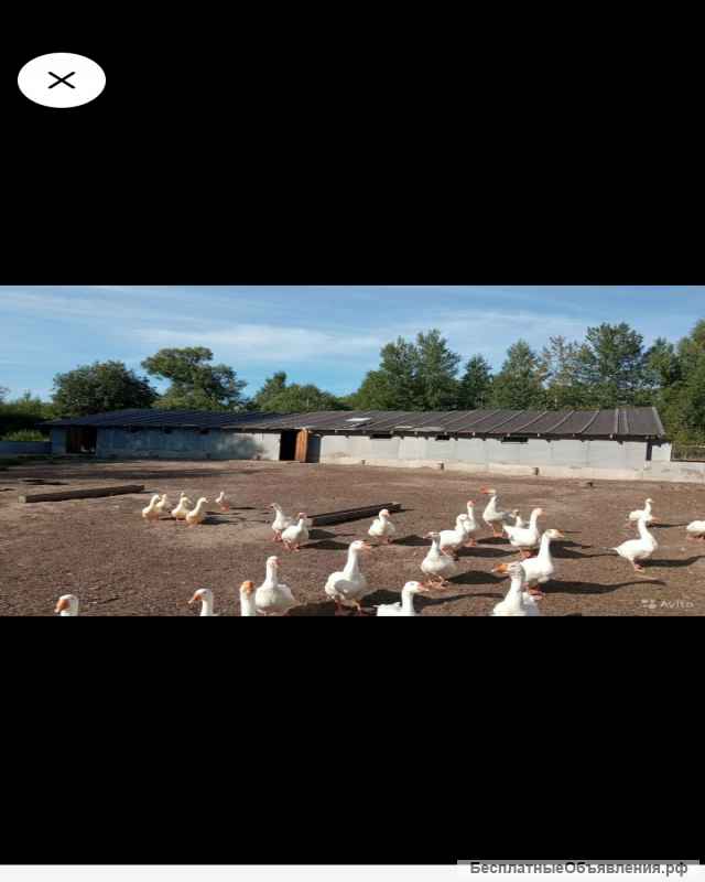 Дом с участком