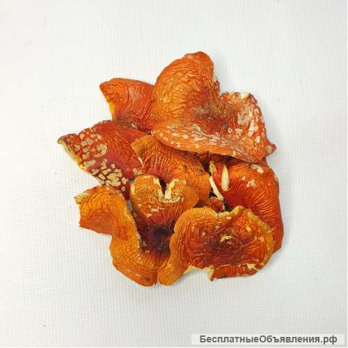 Мухомор сушеный