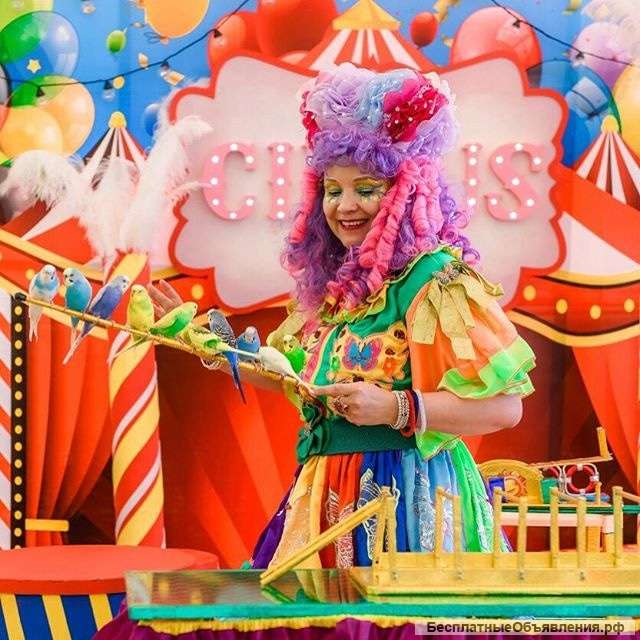 Шоу с животными