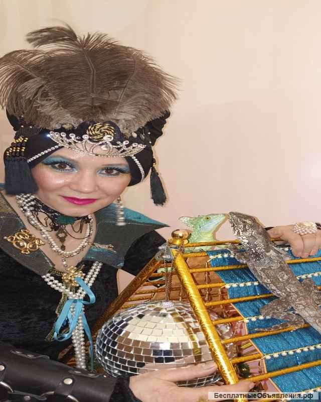 Шоу с животными