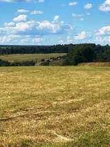 Участок 6 гектар