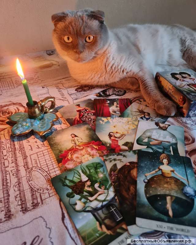 Гадание на всех видах карт