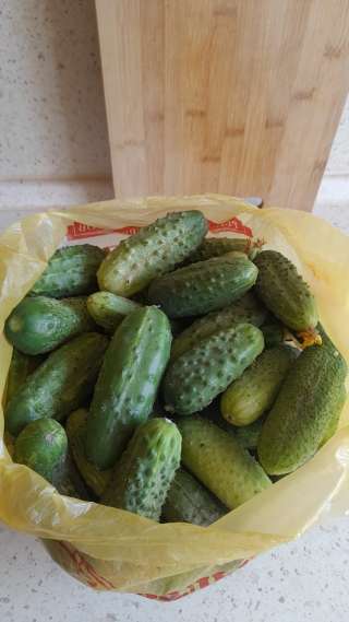 Свежие огурцы