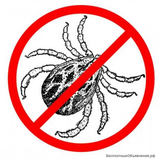 Химическая обработка зеленых насаждений от клещей в г. Севастополе