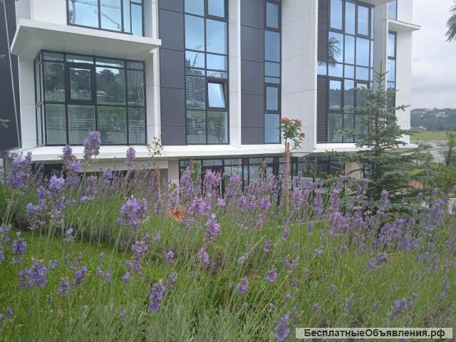 Студию в новом доме в Сочи парк