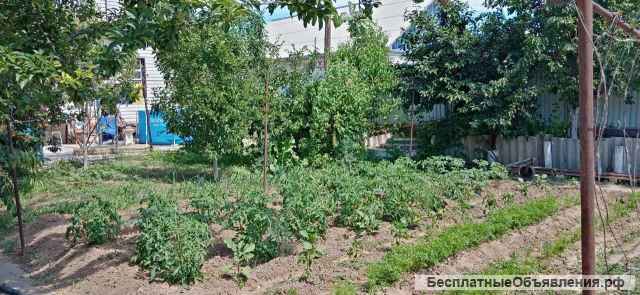 Дом на участке