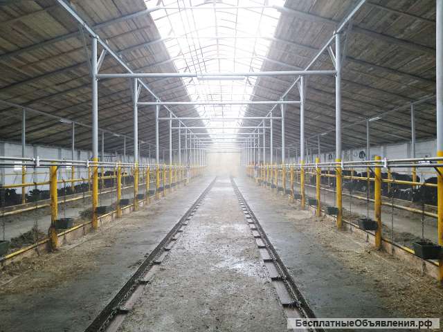 Скребковый транспортер