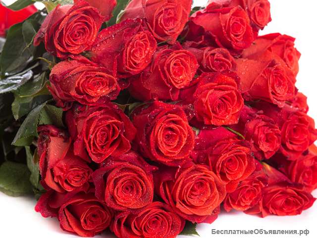 Организация купит юридический адрес в г.Москва, Звенигород, Одинцово.