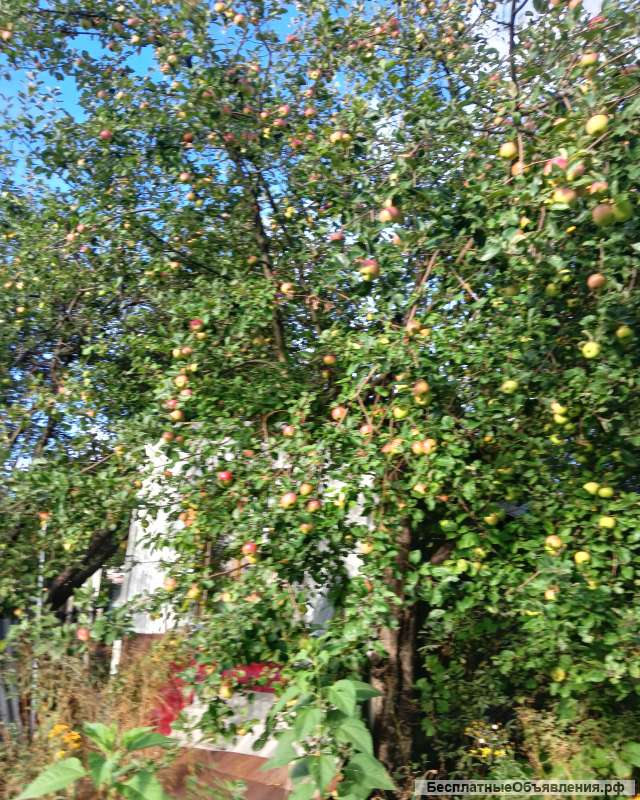 Участок с домом