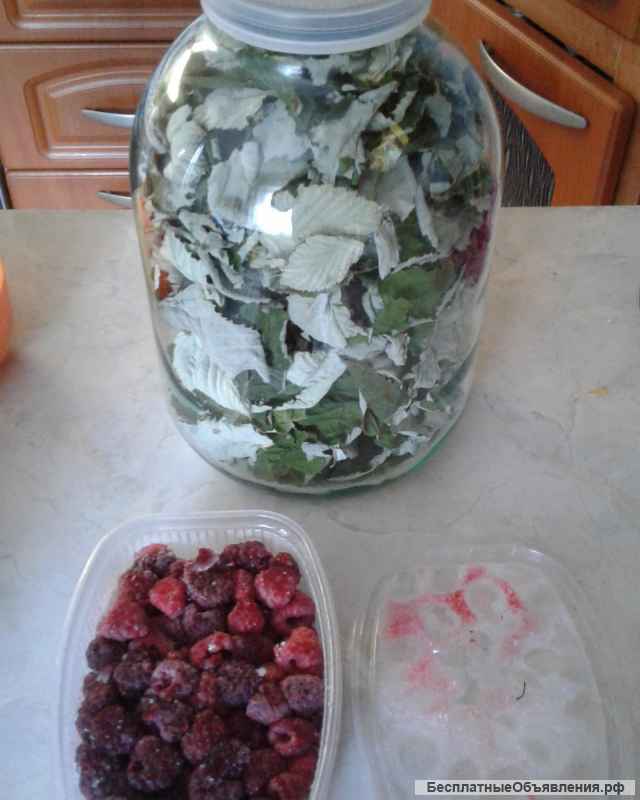 Малиновый лист сушеный натуральный