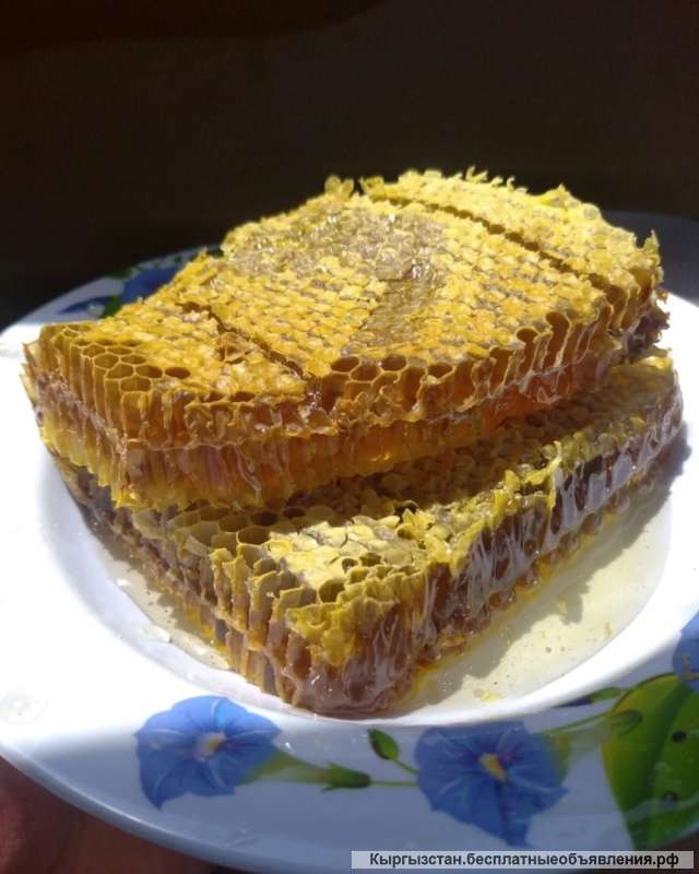 Ищу инвестора