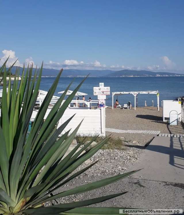 Подаю земельный участок. (ИЖС)