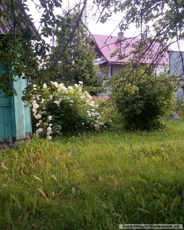 Земельный участок 45 соток с домиком