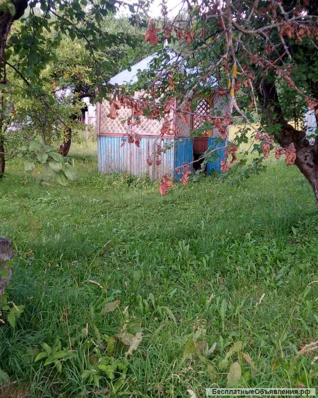 Земельный участок 45 соток с домиком